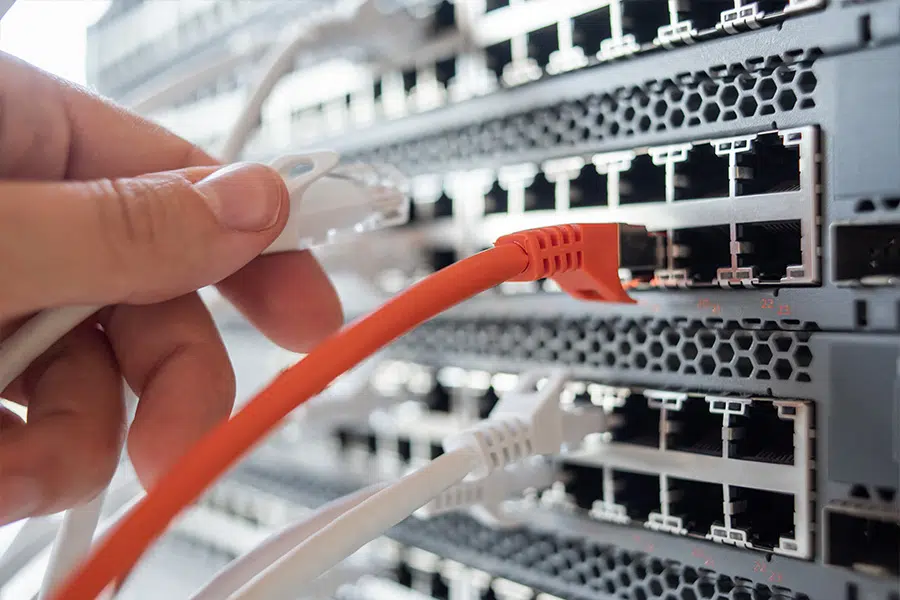 Specialized Backup Services